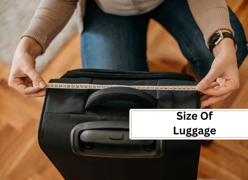 cruise luggage size