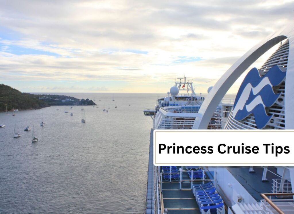 princess cruise tips